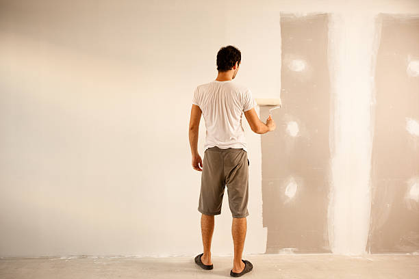 Best Drywall Repair  in Reading, MI